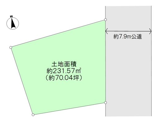 地形図