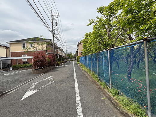 前面道路