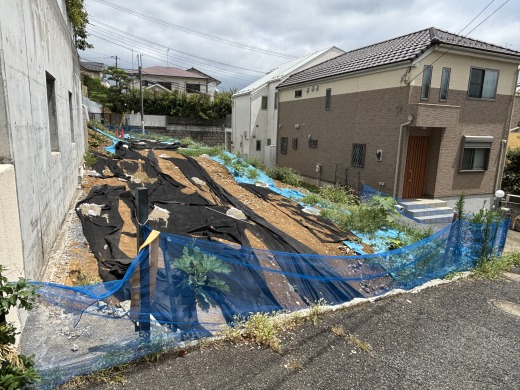 現地写真