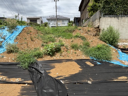 現地写真