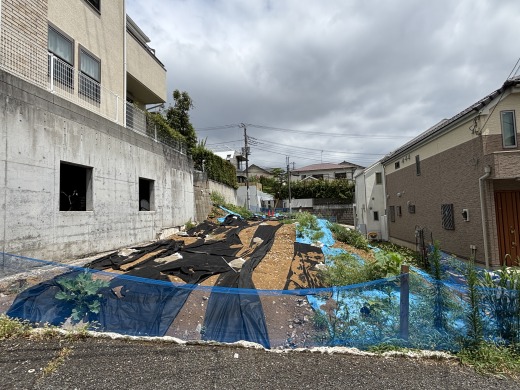 現地写真