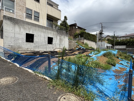 現地写真