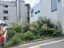 現地写真