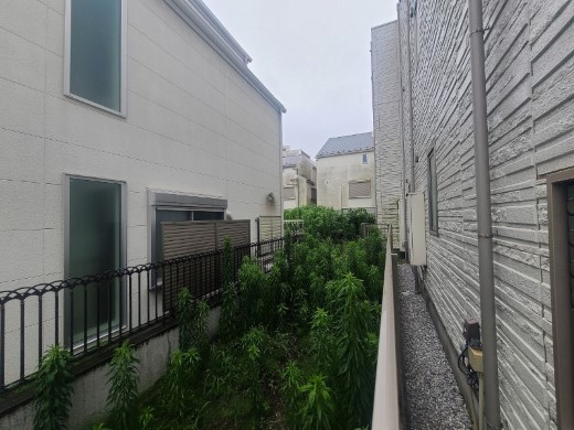 現地写真(路地状部分)