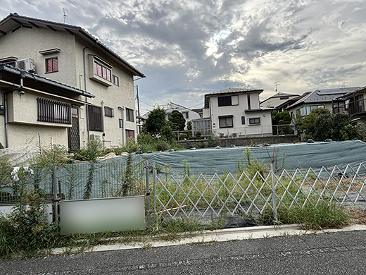 現地写真