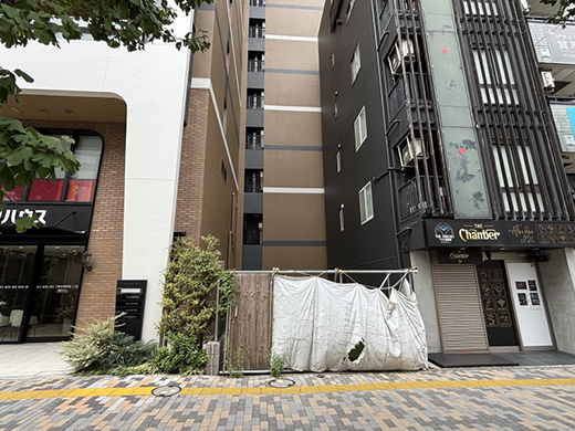現地写真