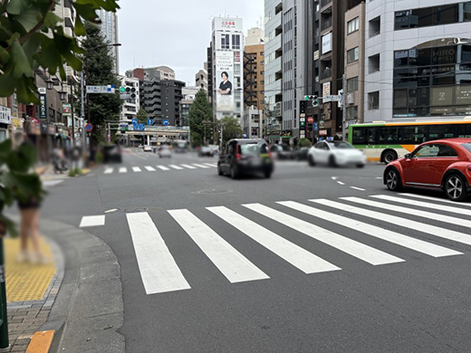 現地写真